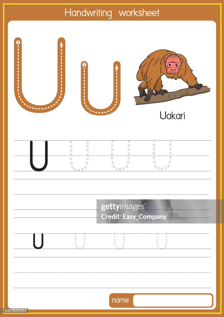 Vector illustration of Uakari with alphabet letter U Upper case or capital letter for children learning practice ABC