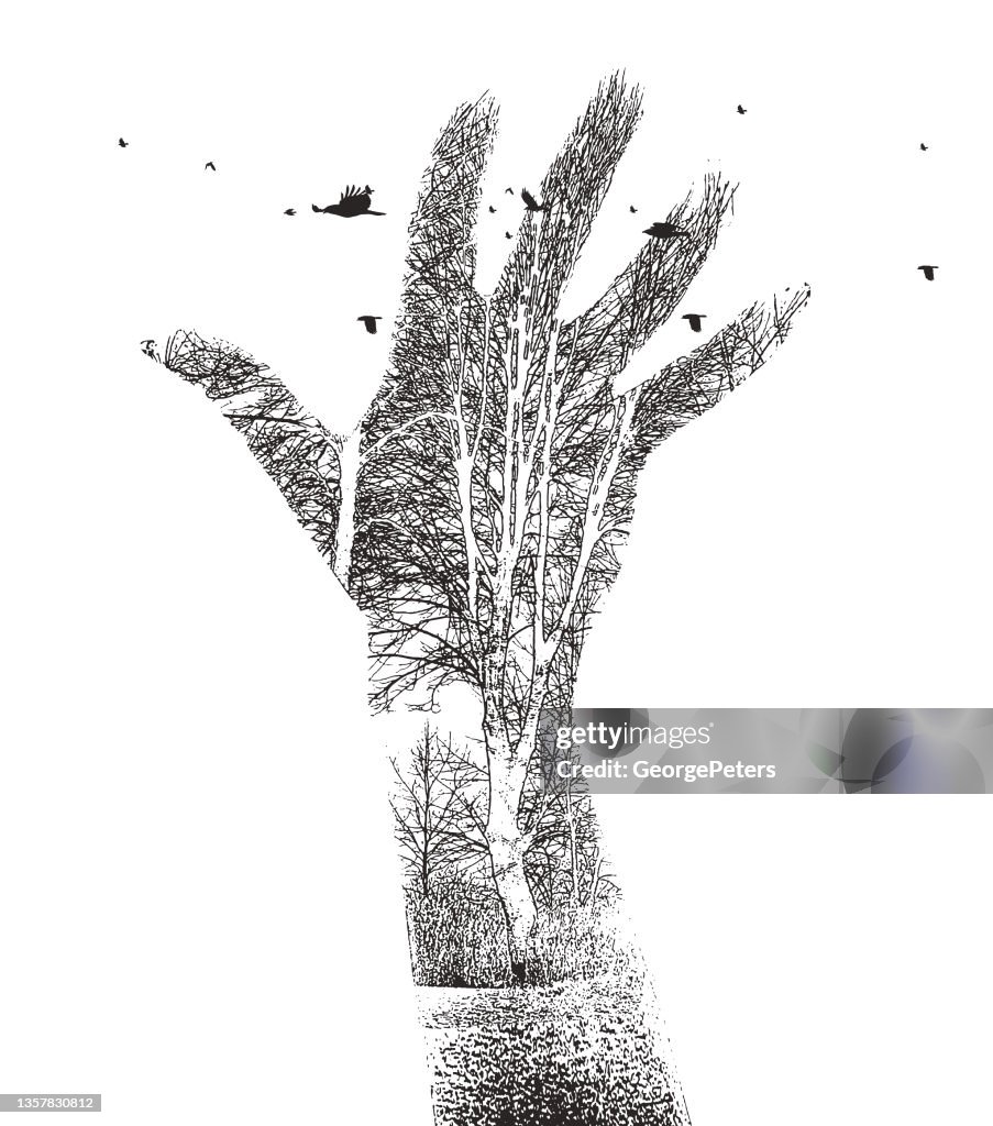 Multiple exposure of hand, trees and birds