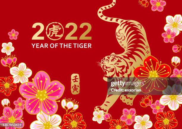 ilustraciones, imágenes clip art, dibujos animados e iconos de stock de flor de ciruelo del año del tigre - chinese language