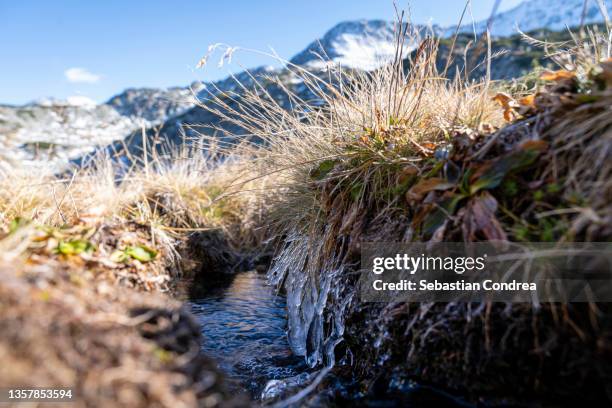 frozen stream overlooking the mountains, alpine area. - icecap stock pictures, royalty-free photos & images