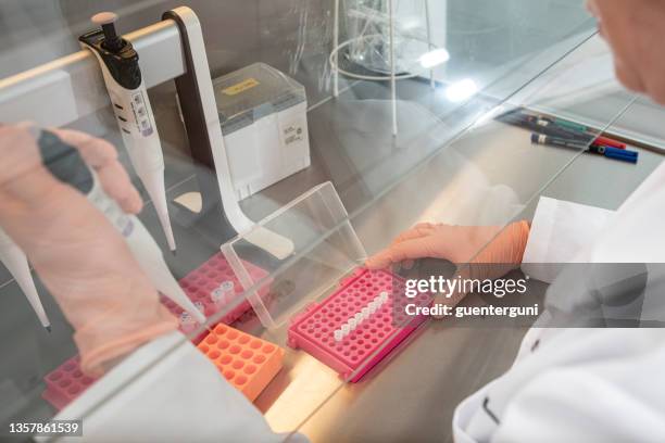 investigador está haciendo pruebas pcr- en un laboratorio - instrumento de la reacción en cadena de la polimerasa fotografías e imágenes de stock