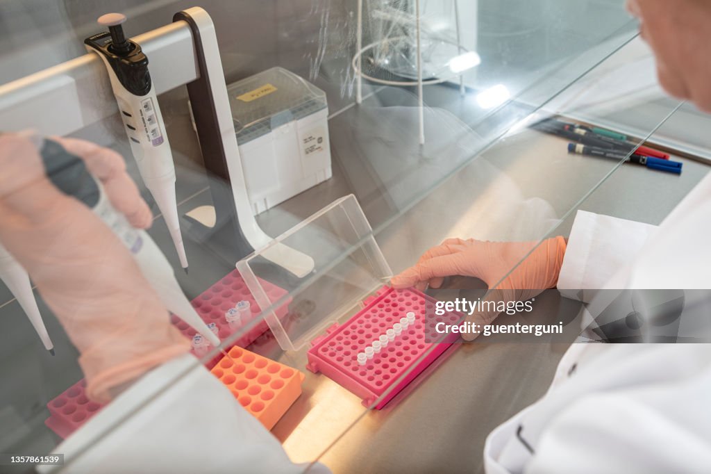 Researcher is doing PCR testing in a laboratory