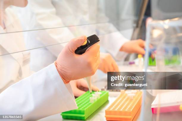Labotomy Pcr 2,134 Pcr Lab Stock Photos, High-Res Pictures, and Images - Getty Images