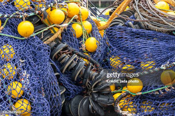3,210 Decorative Fish Net Stock Photos, High-Res Pictures, and