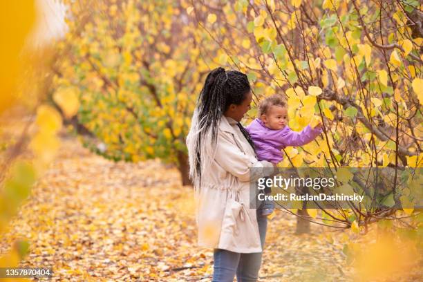 mujer y niño entre los árboles con hojas de otoño. - bush baby fotografías e imágenes de stock