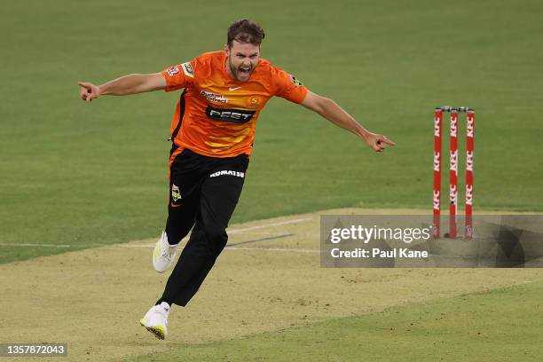 Matt Kelly of the Scorchers celebrates the wicket of Ben Duckett of the Heat during the Men's Big Bash League match between the Perth Scorchers and...