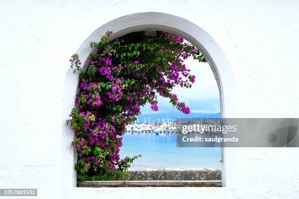 marina of bayona through a bay window - bougainville stockfoto's en -beelden