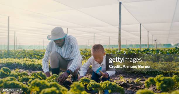 shot of a young father and son working on a farm - african farming tools stock pictures, royalty-free photos & images