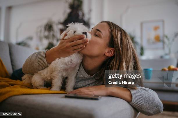 woman playing her pet dog - dog kiss stock pictures, royalty-free photos & images