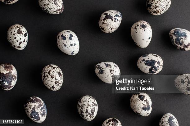 quail eggs conceptual finance flat lay on a black background - huevo de codorniz fotografías e imágenes de stock