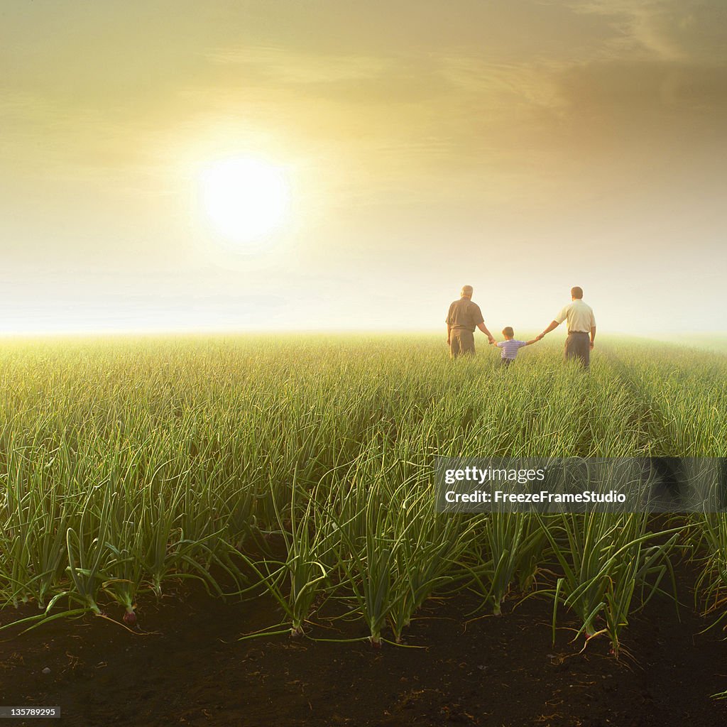 Drei Generationen (Großvater, Sohn und ihr Enkel) holding Hände in farm field