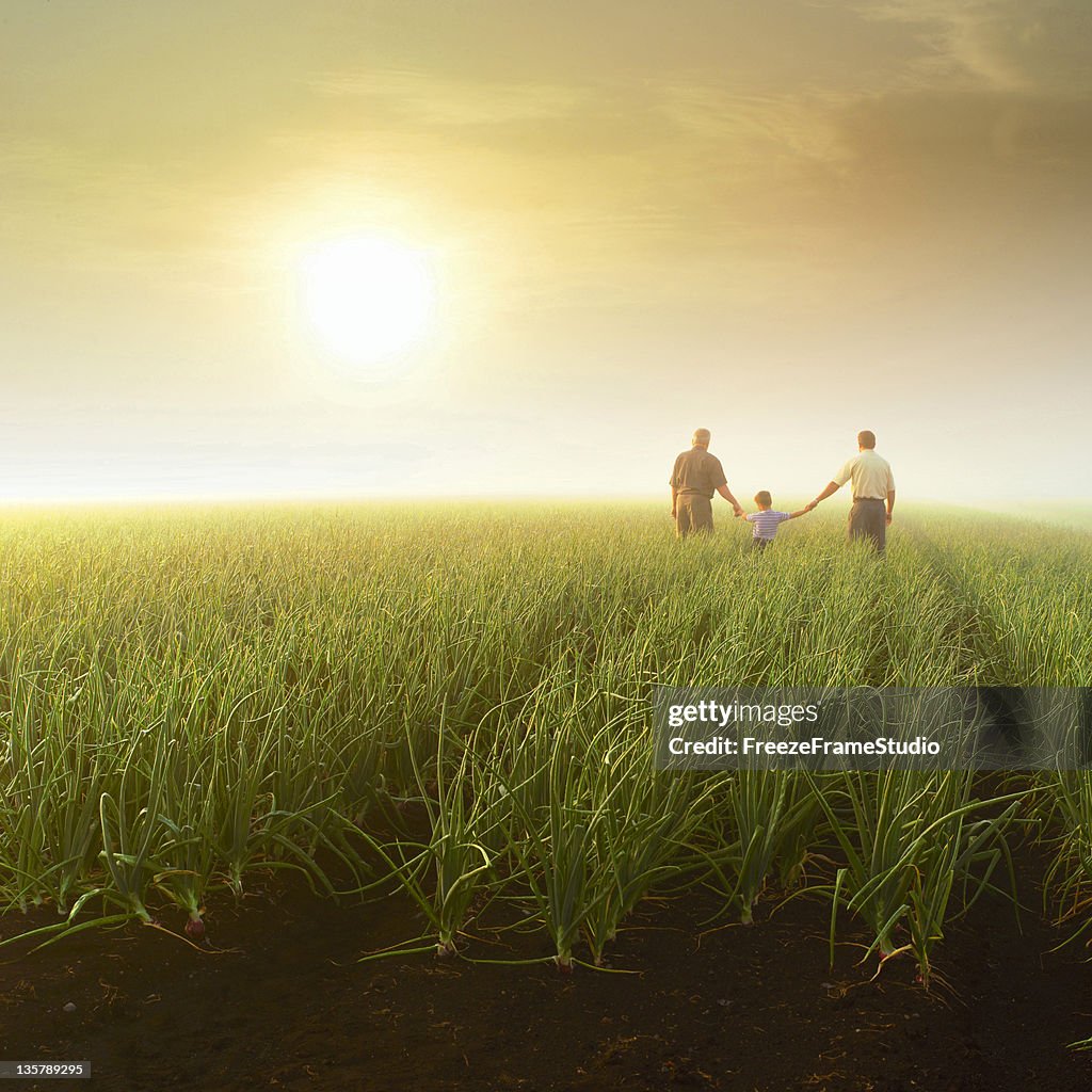 Três gerações (avô, filho e neto) de mãos dadas no campo Agrícola
