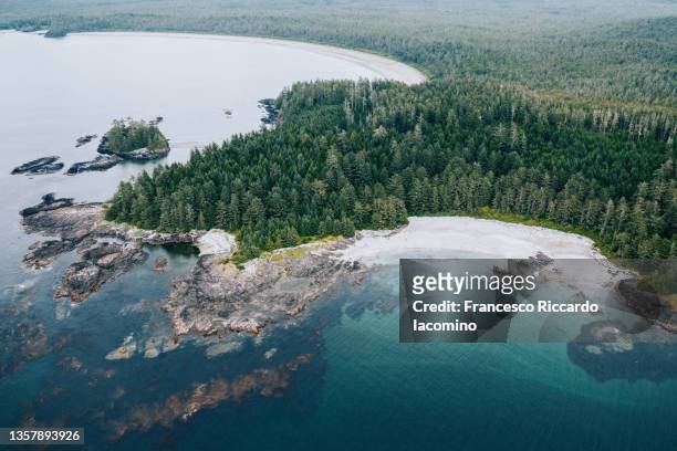 aerial view of tofino coastline, pacific rim national park, vancouver island, british columbia, canada. - pacific rim imagens e fotografias de stock