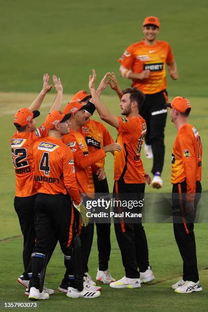 Matt Kelly of the Scorchers celebrates the wicket of Ben Duckett of the Heat during the Men's Big Bash League match between the Perth Scorchers and...