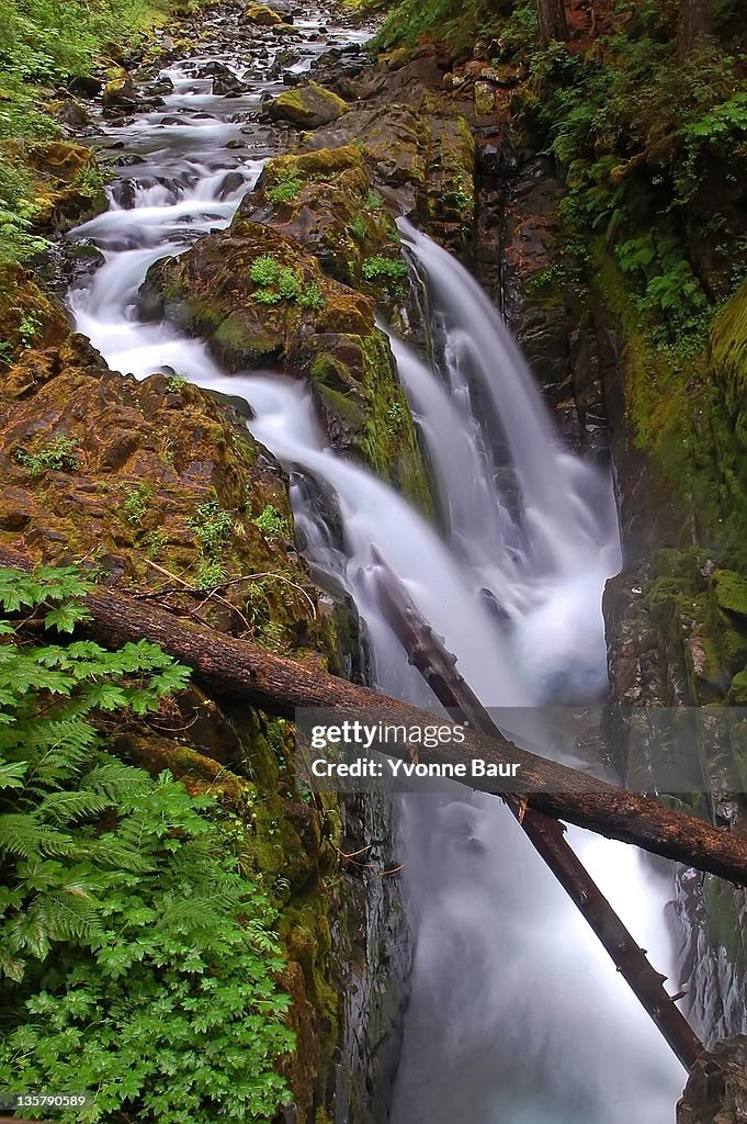 Sol Duc Falls