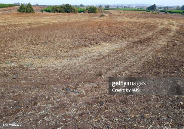 shmita year, the sabbatical year or "sabbath of the land", empty, uncultivated field of the mochav in the region of ness ziona - humus israel stock pictures, royalty-free photos & images