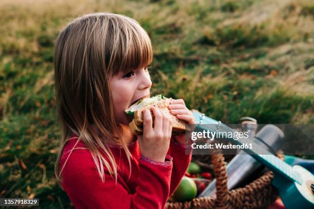 blond girl eating sandwich on grass - toddler eating sandwich stock-fotos und bilder