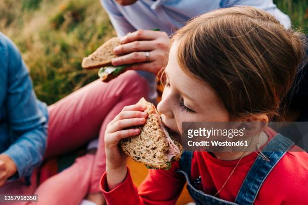 girl eating sandwich with parents at park - eating bread stockfoto's en -beelden