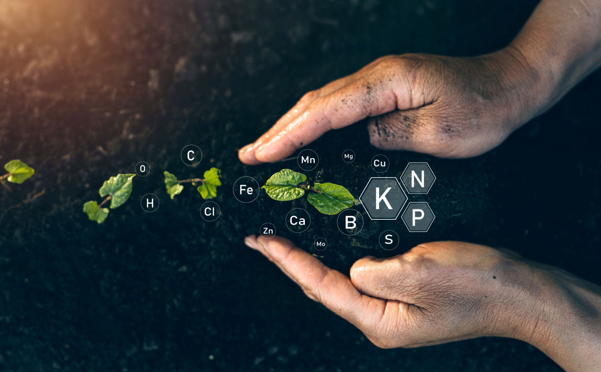 soil nutrients
