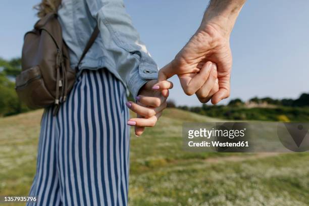 woman holding pinky finger with boyfriend walking at meadow - pinky promise stock pictures, royalty-free photos & images