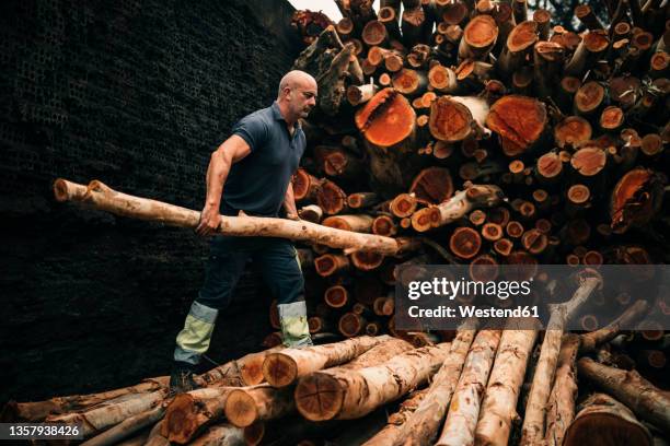 lumberjack arranging firewood logs in factory - lumberjack stock pictures, royalty-free photos & images