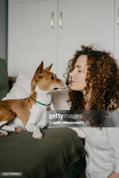 Woman With Curly Hair Looking At Basenji Dog High-Res Stock Photo