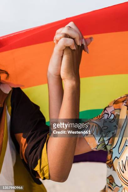 lesbian couple holding hands in front of rainbow flag - manos entrelazadas fotografías e imágenes de stock