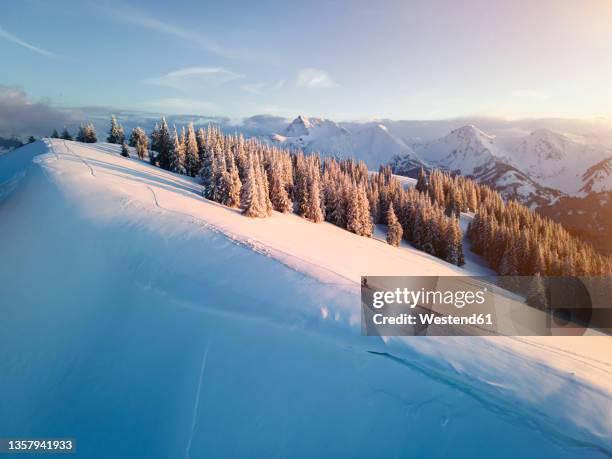 woman skiing on snow covered mountain at sunrise, schonkahler, tyrol, austria - ski hill stock pictures, royalty-free photos & images