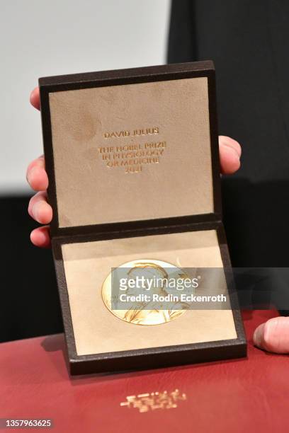 David Julius poses with his medal after receiving Nobel Prize in Physiology or Medicine 'for their discoveries of receptors for temperature and...