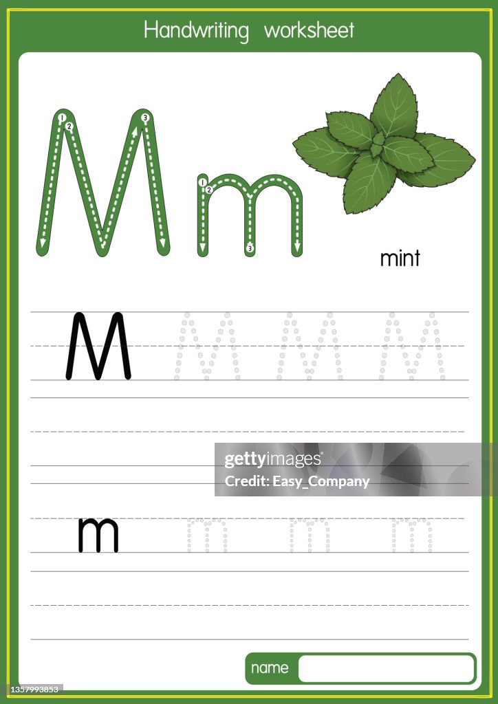 Vector illustration of Mint with alphabet letter M Upper case or capital letter for children learning practice ABC