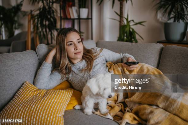 woman watching tv at home - cosy dog stock pictures, royalty-free photos & images