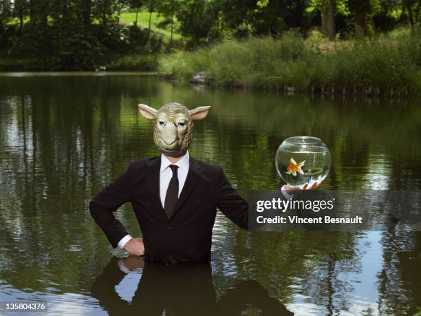 man in a lake wearing a mask of sheep - trapped business stock pictures, royalty-free photos & images