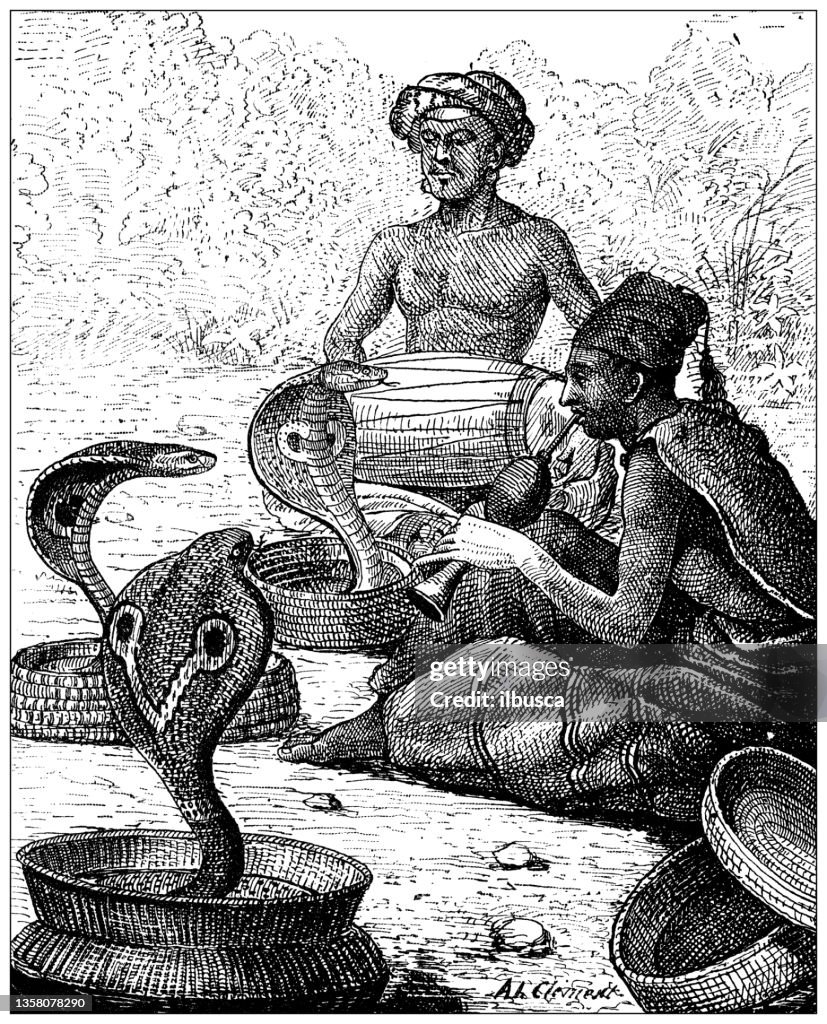 Antique illustration: Indian cobra (Well, yes)
