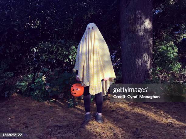 teenage boy wearing a ghost costume for halloween - ghost stock pictures, royalty-free photos & images