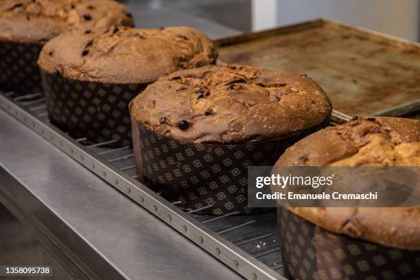 General picture shows some freshly baked Panettone at Panificio Davide Longoni workshop on December 09, 2021 in Milan, Italy. Invented in Milan,...