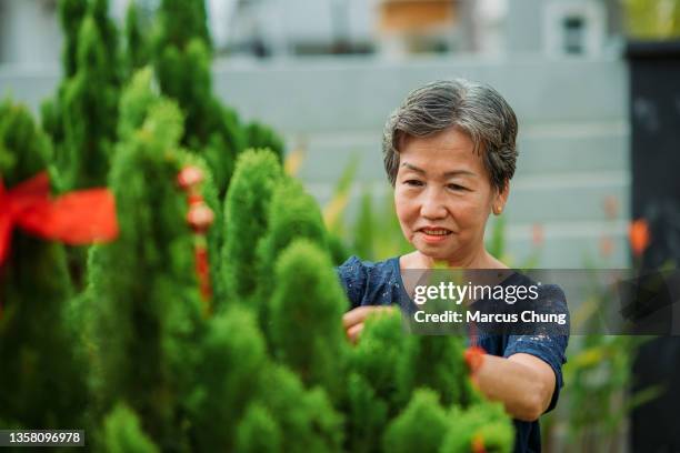 asian chinese smiling female active senior decorating chinese new year ornaments on tree - chinese prepare for lunar new year stock pictures, royalty-free photos & images