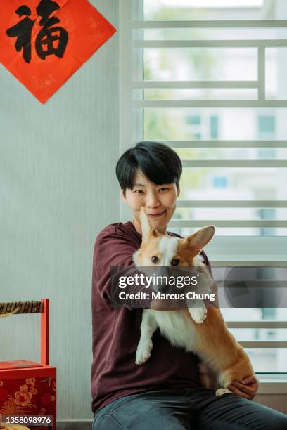 asian chinese smiling female having fun with her dog in living hall during chinese new year - chinese new year dog stock pictures, royalty-free photos & images