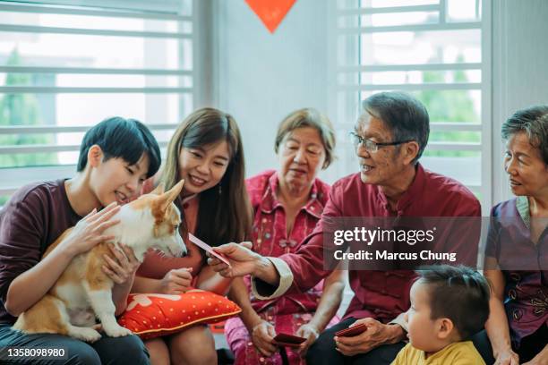 asiatische chinesische familie, die während des chinesischen neujahrssitzes im wohnheim sitzt und dem hund einen roten umschlag überreicht - 30 year old female stock-fotos und bilder