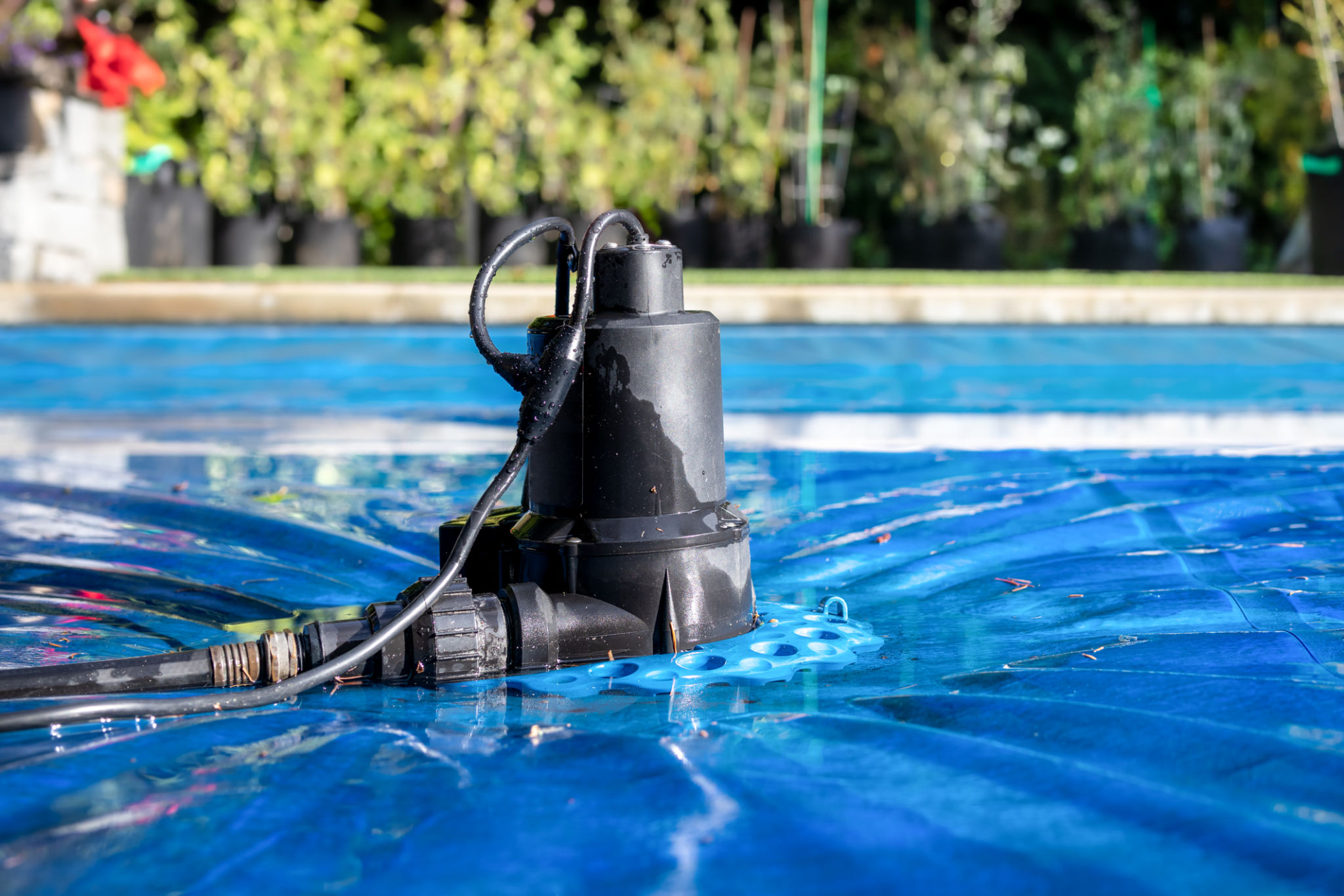 energy efficient pool pump
