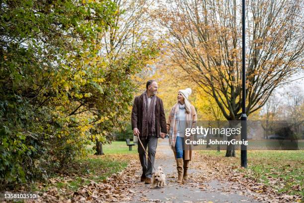 mature couple walking terrier on footpath in public park - mature couple stockfoto's en -beelden