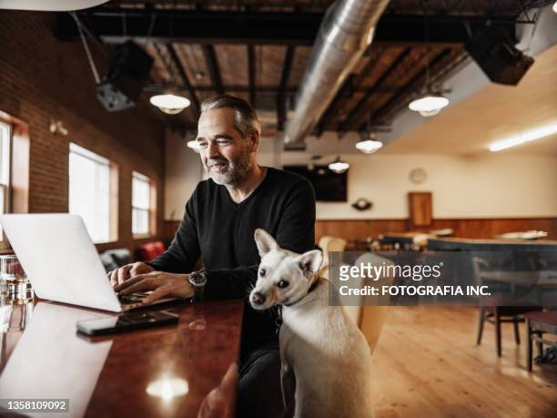 owner of small business with his small dog working at the bar - pet owner stock pictures, royalty-free photos & images