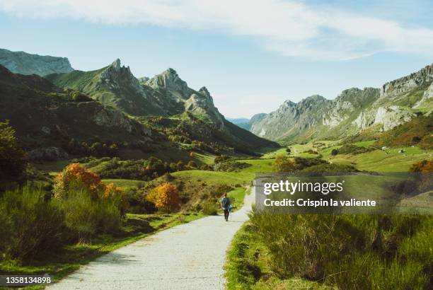 back view of a woman silhouette walking in a somiedo natural park - asturias stock pictures, royalty-free photos & images