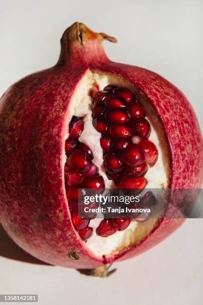 ut pomegranate on a white background. menstruation concept. symbol of vagina. gynecology, female intimate health - vulva stock pictures, royalty-free photos & images