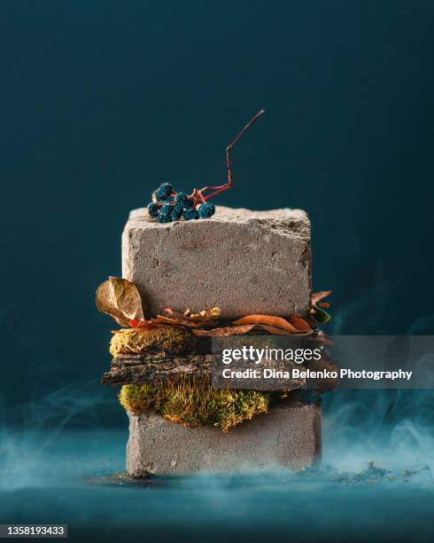 burger made from moss and rock, eco-friendly concept - capitalism stock pictures, royalty-free photos & images