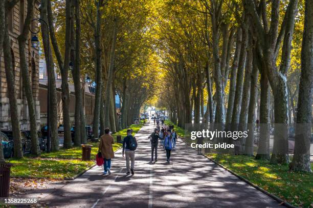 walkway in france. - 伊夫林 個照片及圖片檔