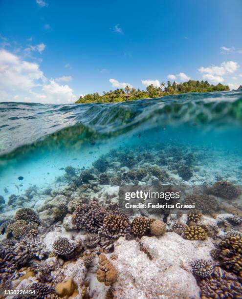 split-level view of rannalhi maldivian lagoon - arrecife fotografías e imágenes de stock