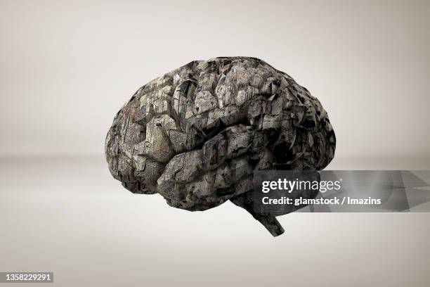 Seven Brain Rocks 1,176 Brain Rock Stock Photos, High-Res Pictures, and Images - Getty Images