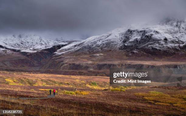 two people walking towards denali or mount mckinley under overcast grey skies. - wonder lake stock pictures, royalty-free photos & images