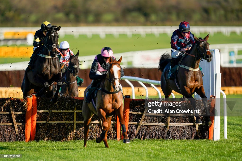Cheltenham Races