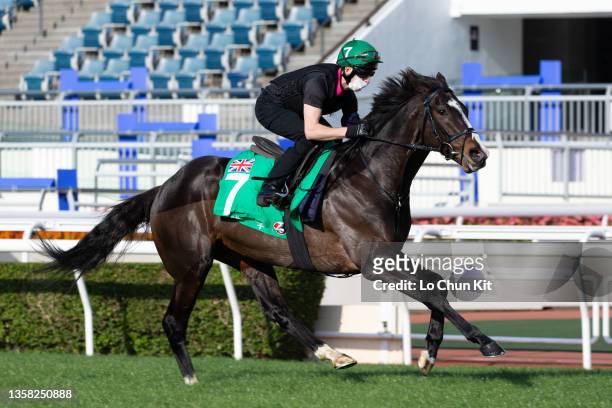 December 9 : Jockey Martin Dwyer riding Pyledriver exercises at Sha Tin Racecourse on December 9, 2020 in Hong Kong.